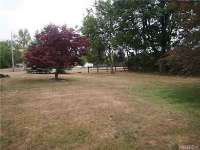 Yard. Looking from back of lot to front!