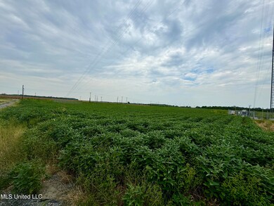 IMG_5184~photo-full