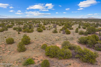 50178020f Wyandotte Rd, Williams, AZ 86046 - photo 3