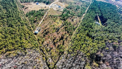 51 Willys Way, Early Branch, SC 29916 - photo 2