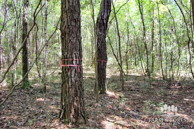 Coates Road (Off), Bonifay, FL 32425 - photo 4