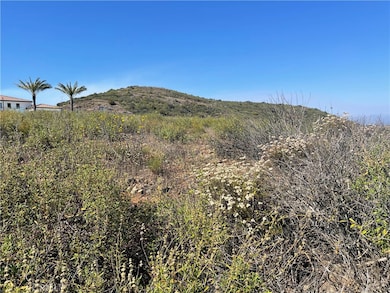 0 Masako Cir unit PW25130514, Temecula, CA 92590 - photo 4