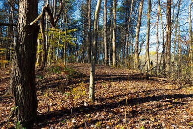 Build Site View