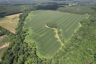 0 Attala Road 4110 unit 24269942, Sallis, MS 39160 - photo 4