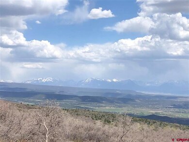 21525 W Elks View Dr, Cedaredge, CO 81413 - photo 3