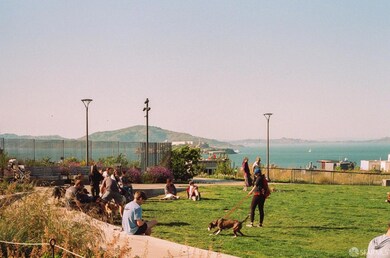 Carousel Image