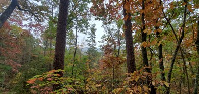 20201026_003858