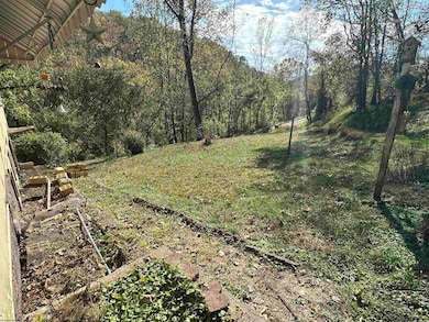 130 Otter Ln, Gassaway, WV 26624 - photo 6