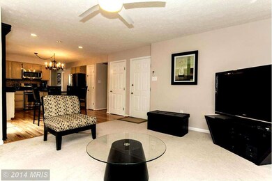 6421 Grateful Heart Gate, Columbia, MD 21044 - photo 7