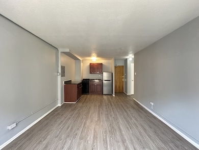 1040 W Hollywood Ave unit 520, Chicago, IL 60660 - photo 7
