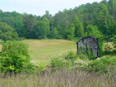 00 Jones Patton Rd, Leicester, NC 28748 - photo 3