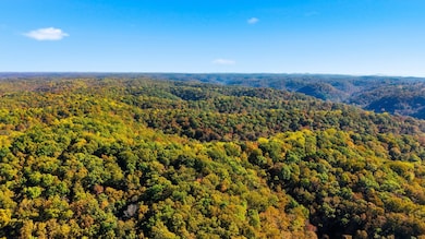 4300 Bull Run Rd, Ashland City, TN 37015 - photo 7