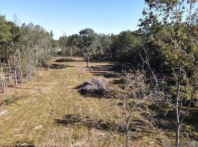 3315 Nesom Rd, Denham Springs, LA 70706 - photo 2