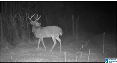 0 Hill Creek Dr unit 21438295, West Blocton, AL 35184 - photo 3