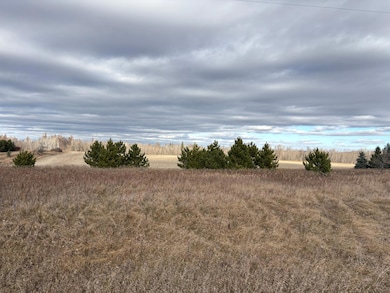 Tbd Leaf River Rd, Ottertail, MN 56571 - photo 6