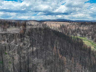 Forest Service Rd 3745, Burns, OR 97720 - photo 2