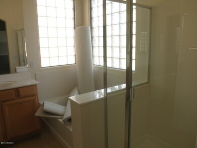 Master Bathroom-Extra Carpet and Paint