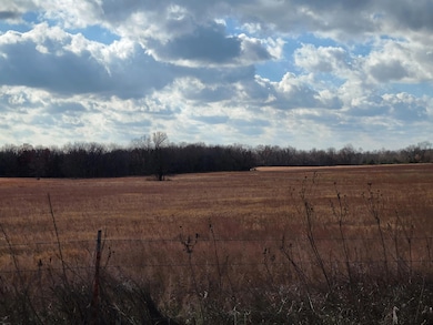 002 E 1550 Rd, Jerico Springs, MO 64756 - photo 3