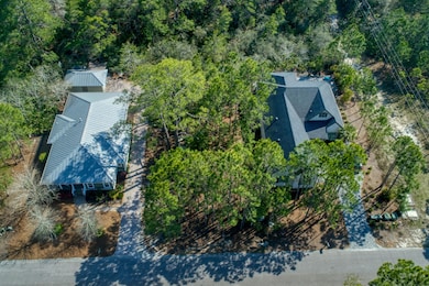 Spotted Dolphin Lot 4 FINAL