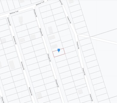 0 Chicopee Rd unit 365262, Crawfordville, FL 32327 - photo 6