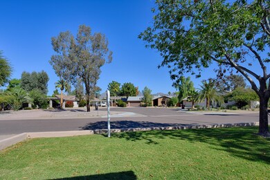 Front View