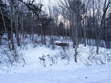 L46.111 Panarama Ln, Windham, NY 12496 - photo 4