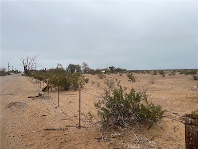 18441 Blythe Way, Blythe, CA 92225 - photo 3