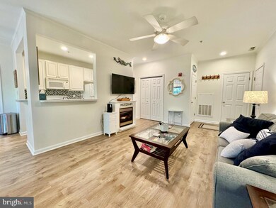 500 Cascade Ln unit 507, Rehoboth Beach, DE 19971 - photo 7