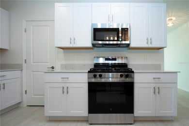 12609 Aura Moonlight Terrace, Parrish, FL 34219 - photo 7