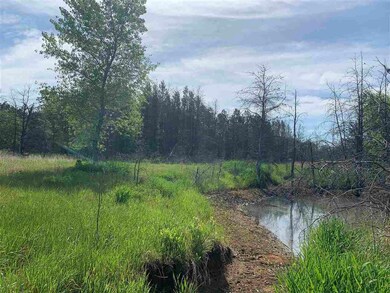 1118 County Road C, Arkdale, WI 54613 - photo 6