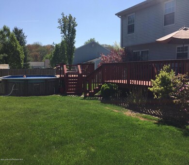 newbackyard