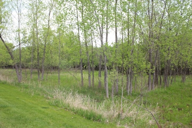Green Space