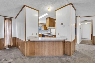 8422MysticCir-14