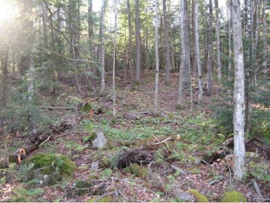 23 Sundance Rd, Woodstock, NH 03262 - photo 3