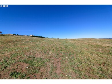 3009 E 10th St, the Dalles, OR 97058 - photo 6