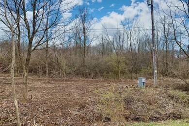 4.-NE-View-of-Lot