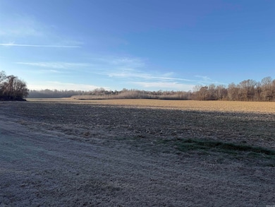 1 CR 457 Rd, Pollard, AR 72456 - photo 2