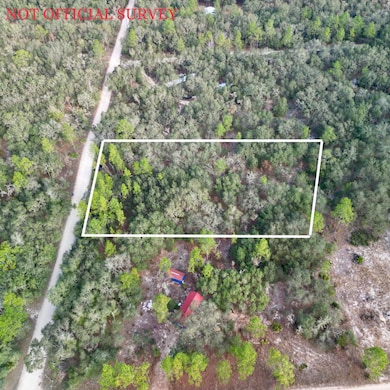 TBD NE 120th Ave, Bronson, FL 32621 - photo 3