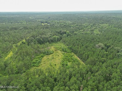 212 Tower Rd, Wiggins, MS 39577 - photo 4