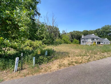 8532 Brighten Trail, Mattawan, MI 49071 - photo 4