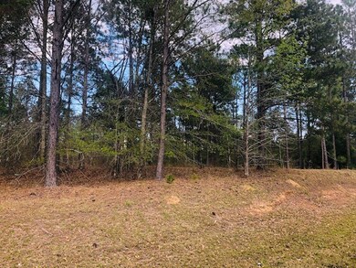 00 Old Savannah Rd, Vidalia, GA 30474 - photo 2