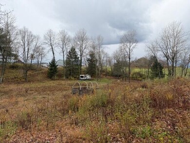 0 Woodbury Rd, Washington Township, PA 15824 - photo 4