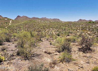 VIEW TO THE WEST: OVERVIEW