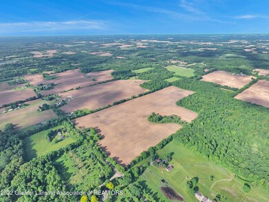 DJI_0113