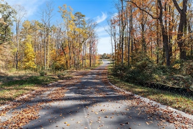 14 Scott Meadows Dr, Asheville, NC 28806 - photo 7