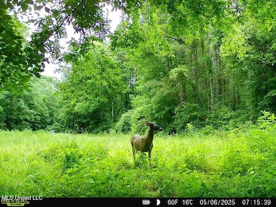 00 Old Highway 80 E, Morton, MS 39117 - photo 3