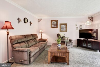 7914 Brightmeadow Ct, Ellicott City, MD 21043 - photo 3