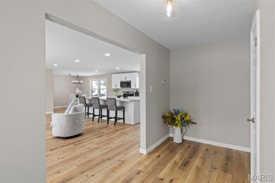 902 S Hackman St, Staunton, IL 62088 - photo 4