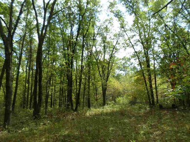 60 Ac 22nd St, Cutler, WI 54618 - photo 5