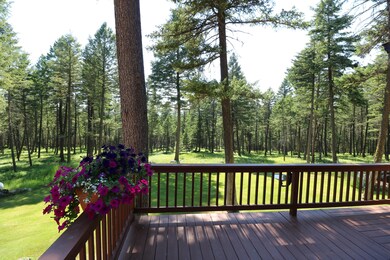Deck View